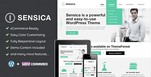 sensica_wordpress_theme